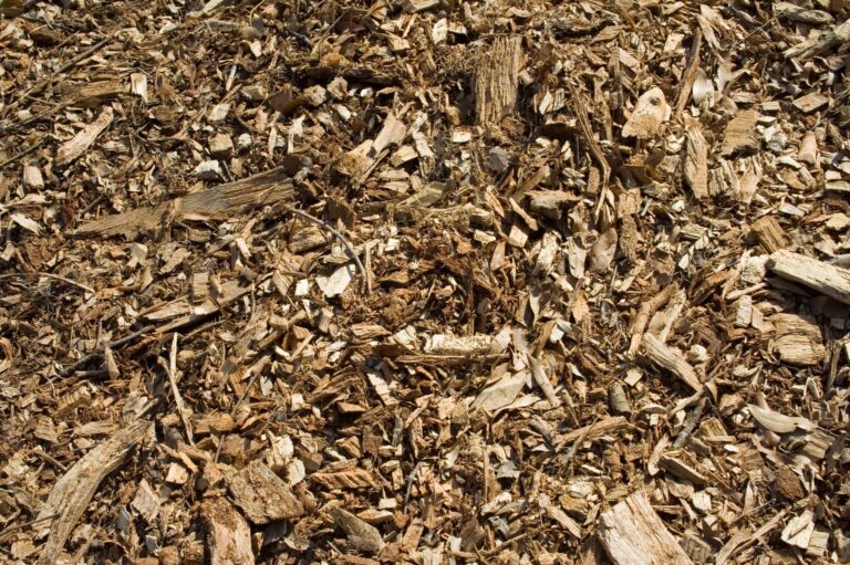 Can I Use Wood Chips as Mulch?